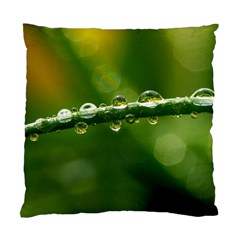 Waterdrops Cushion Case (two Sided)  by Siebenhuehner