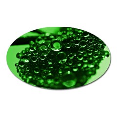 Waterdrops Magnet (oval) by Siebenhuehner