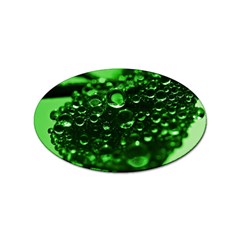 Waterdrops Sticker 10 Pack (oval) by Siebenhuehner