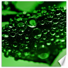 Waterdrops Canvas 16  X 16  (unframed) by Siebenhuehner