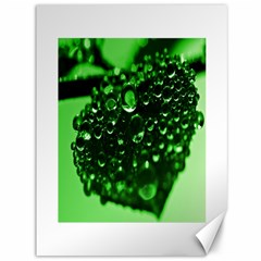 Waterdrops Canvas 36  X 48  (unframed) by Siebenhuehner