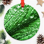 Waterdrops Round Ornament Front