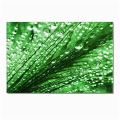 Waterdrops Postcard 4 x 6  (10 Pack) by Siebenhuehner