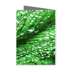 Waterdrops Mini Greeting Card (8 Pack) by Siebenhuehner