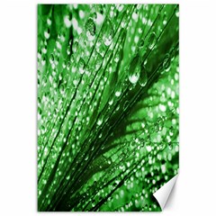 Waterdrops Canvas 12  X 18  (unframed) by Siebenhuehner