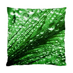 Waterdrops Cushion Case (two Sided)  by Siebenhuehner