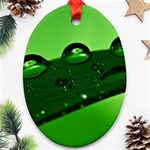 Waterdrops Oval Ornament Front