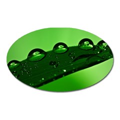 Waterdrops Magnet (oval) by Siebenhuehner