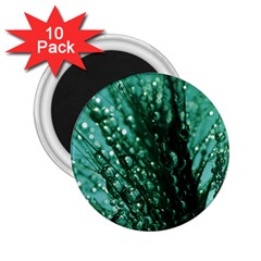 Waterdrops 2 25  Button Magnet (10 Pack) by Siebenhuehner