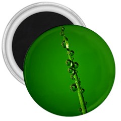 Waterdrops 3  Button Magnet by Siebenhuehner