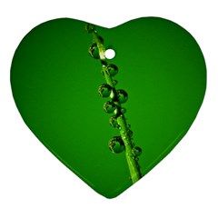 Waterdrops Heart Ornament by Siebenhuehner