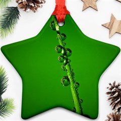 Waterdrops Star Ornament by Siebenhuehner