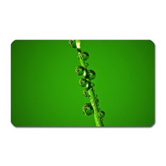 Waterdrops Magnet (rectangular) by Siebenhuehner