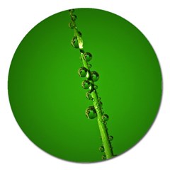 Waterdrops Magnet 5  (round) by Siebenhuehner