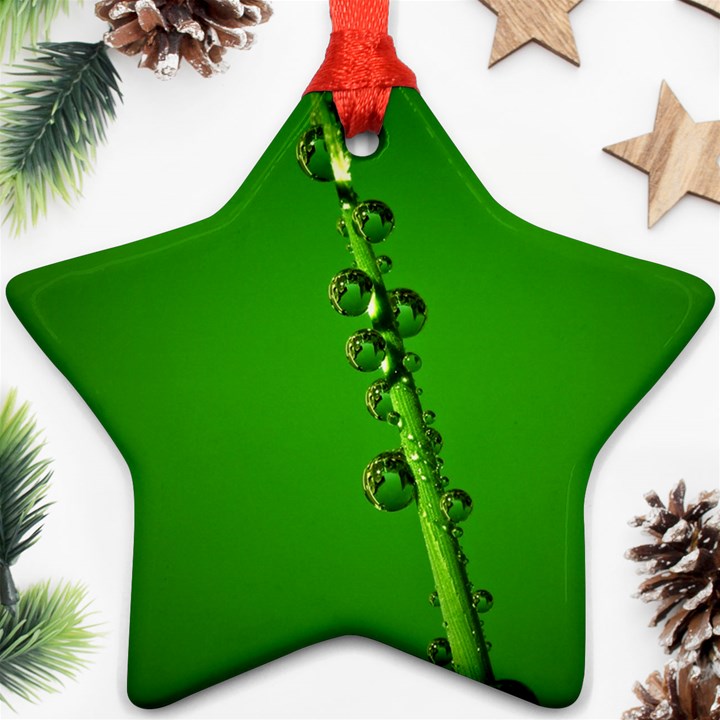 Waterdrops Star Ornament (Two Sides)