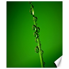 Waterdrops Canvas 8  X 10  (unframed) by Siebenhuehner