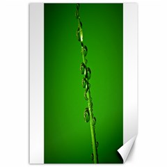 Waterdrops Canvas 24  X 36  (unframed) by Siebenhuehner