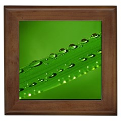 Waterdrops Framed Ceramic Tile by Siebenhuehner