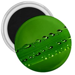 Waterdrops 3  Button Magnet by Siebenhuehner