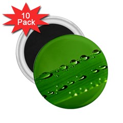 Waterdrops 2 25  Button Magnet (10 Pack) by Siebenhuehner