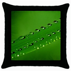 Waterdrops Black Throw Pillow Case by Siebenhuehner