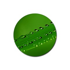 Waterdrops Drink Coasters 4 Pack (round) by Siebenhuehner