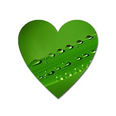 Waterdrops Magnet (heart) by Siebenhuehner