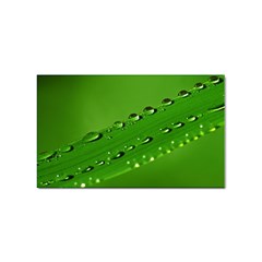 Waterdrops Sticker 10 Pack (rectangle) by Siebenhuehner