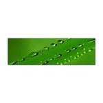 Waterdrops Bumper Sticker 100 Pack Front