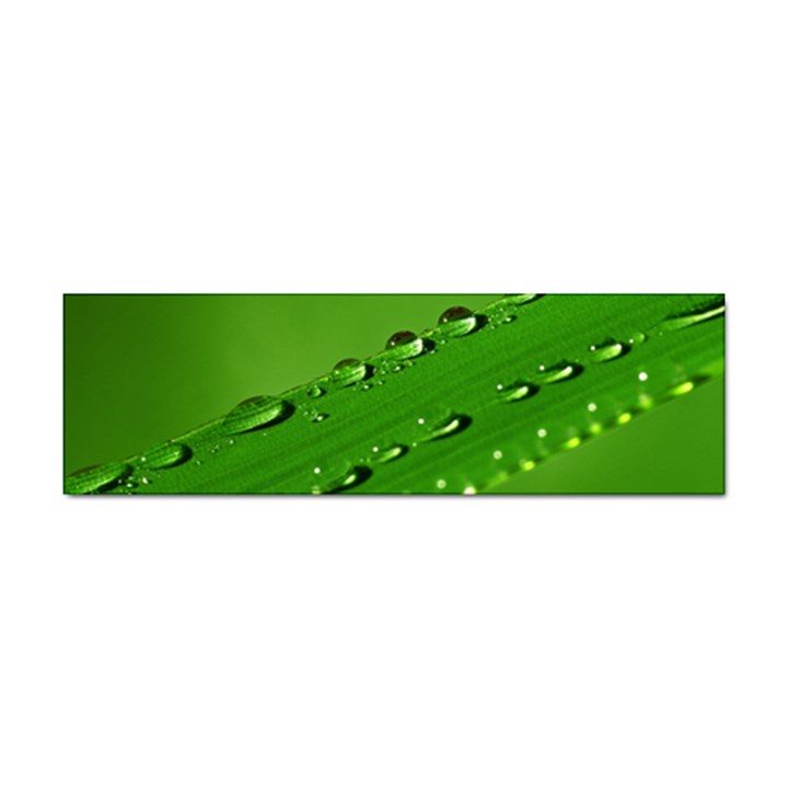 Waterdrops Bumper Sticker 100 Pack