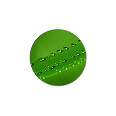 Waterdrops Golf Ball Marker 4 Pack by Siebenhuehner