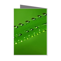 Waterdrops Mini Greeting Card (8 Pack) by Siebenhuehner