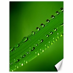 Waterdrops Canvas 12  X 16  (unframed) by Siebenhuehner