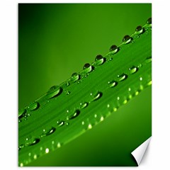 Waterdrops Canvas 16  X 20  (unframed) by Siebenhuehner