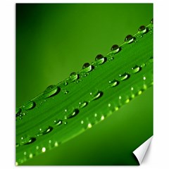 Waterdrops Canvas 20  X 24  (unframed) by Siebenhuehner