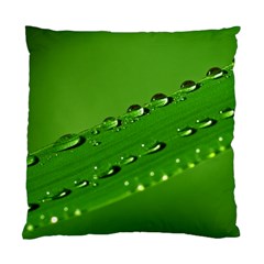 Waterdrops Cushion Case (two Sided)  by Siebenhuehner