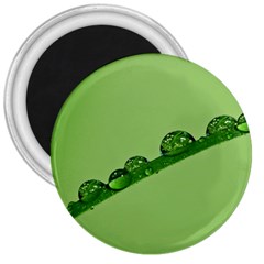 Waterdrops 3  Button Magnet by Siebenhuehner