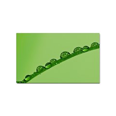 Waterdrops Sticker 10 Pack (rectangle) by Siebenhuehner