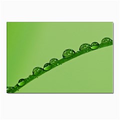 Waterdrops Postcards 5  X 7  (10 Pack) by Siebenhuehner