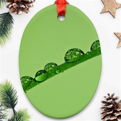 Waterdrops Oval Ornament (two Sides)