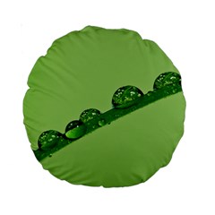 Waterdrops 15  Premium Round Cushion  by Siebenhuehner