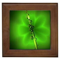 Waterdrops Framed Ceramic Tile by Siebenhuehner