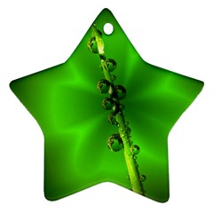 Waterdrops Star Ornament (two Sides) by Siebenhuehner