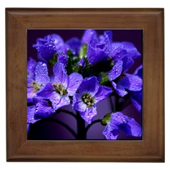 Cuckoo Flower Framed Ceramic Tile by Siebenhuehner