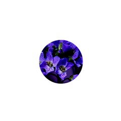 Cuckoo Flower 1  Mini Button Magnet by Siebenhuehner