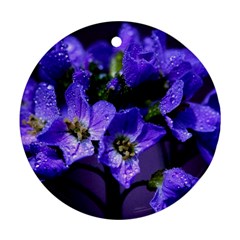 Cuckoo Flower Round Ornament by Siebenhuehner