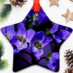 Cuckoo Flower Star Ornament