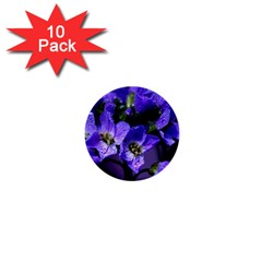 Cuckoo Flower 1  Mini Button (10 Pack) by Siebenhuehner