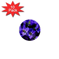 Cuckoo Flower 1  Mini Button Magnet (10 Pack) by Siebenhuehner