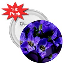 Cuckoo Flower 2 25  Button (100 Pack) by Siebenhuehner